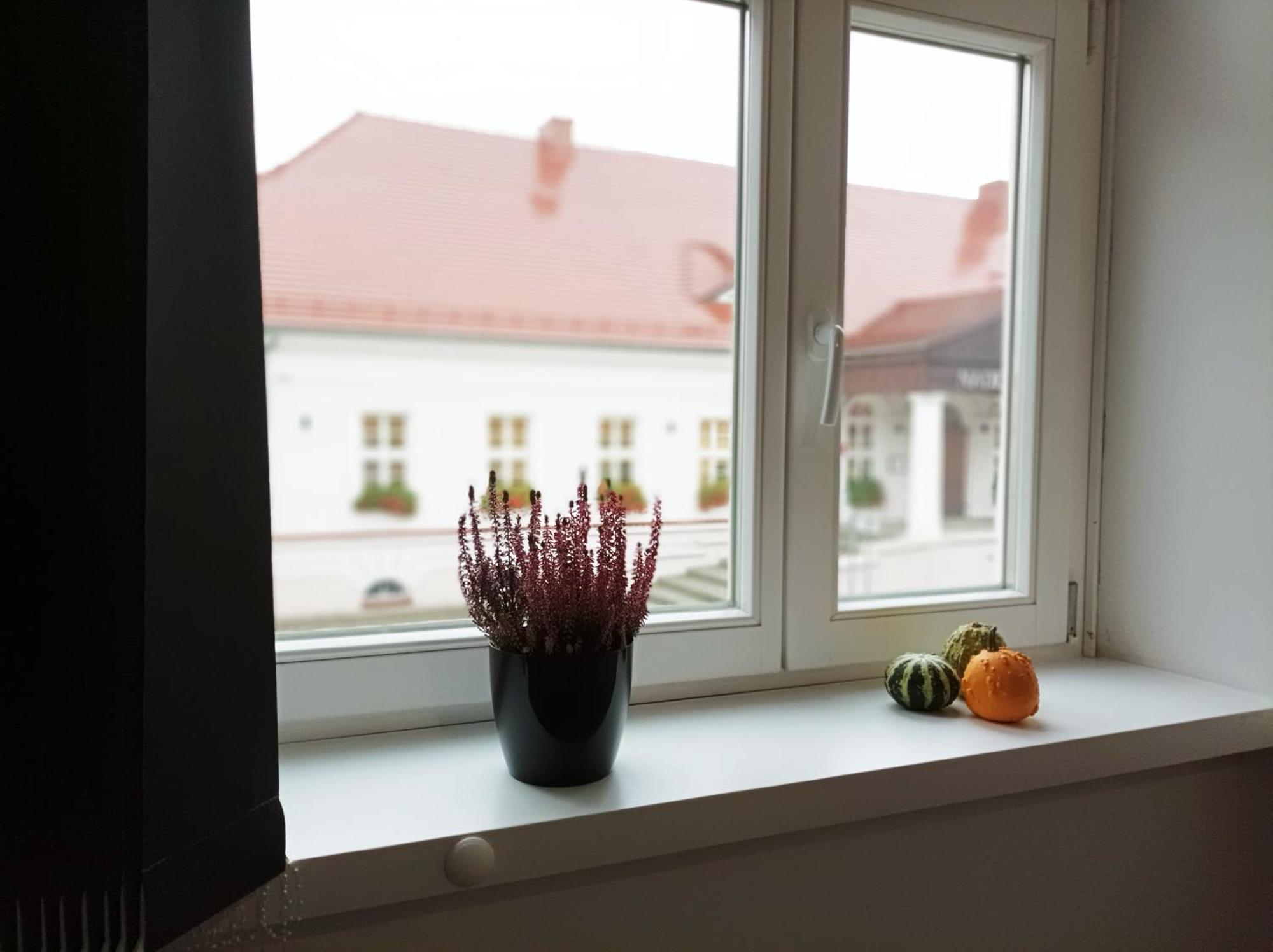 Pokoje Pod Palacem Koszecin Eksteriør billede